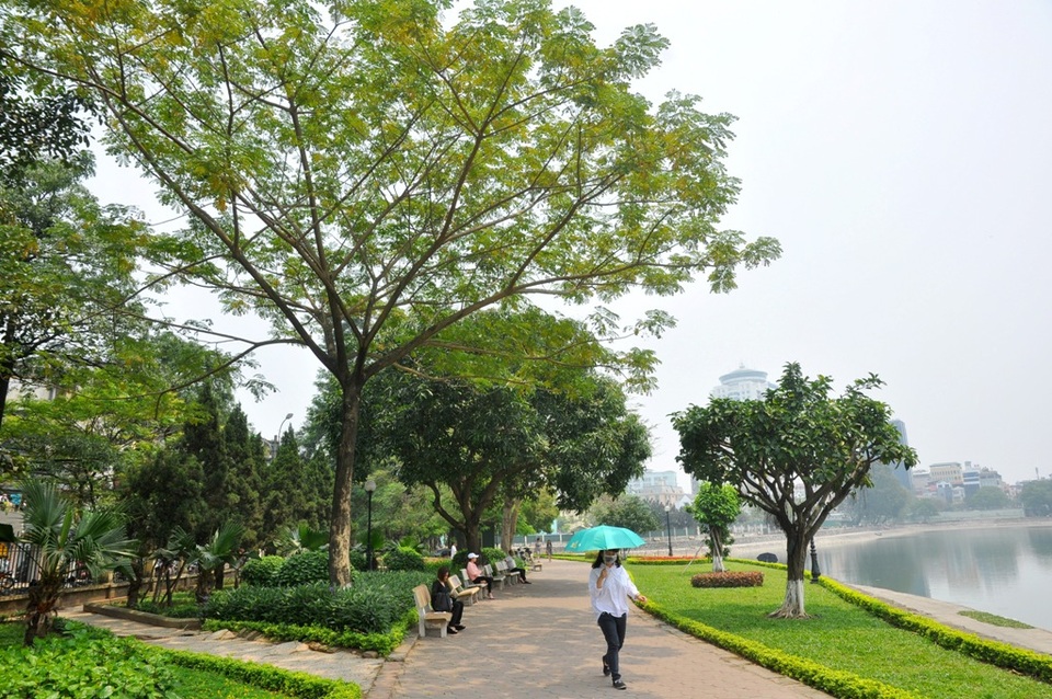 Toàn cảnh hồ Thành Công trước đề xuất cho lấp để xây nhà - 10 Toàn cảnh hồ Thành Công trước đề xuất cho lấp để xây nhà - 10