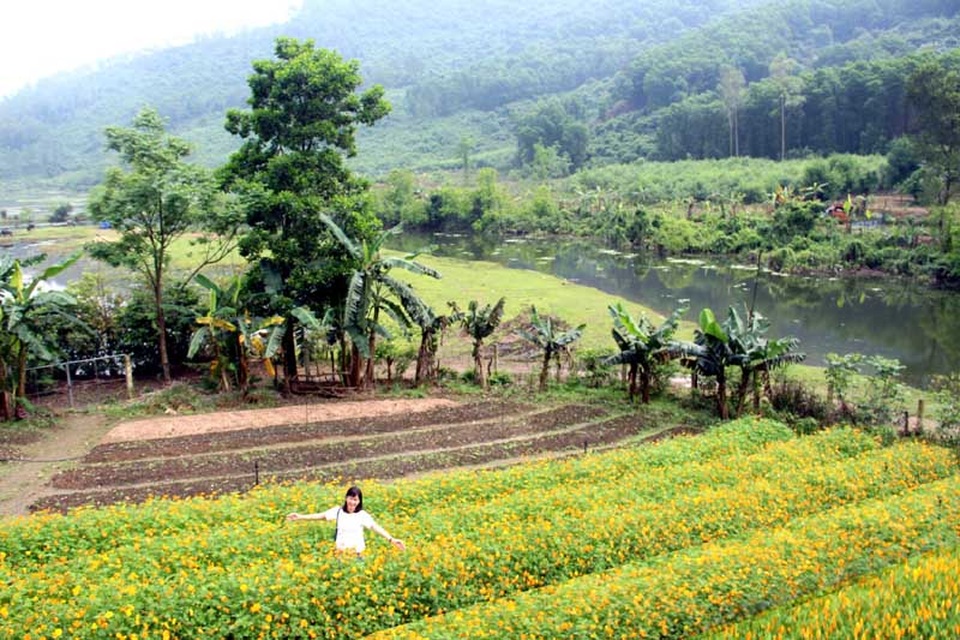 Ngỡ ngàng trước vẻ đẹp nguyên sơ của khu sinh thái dưới chân núi Hồng Lĩnh - 7 Lạc giữa mùa hoa