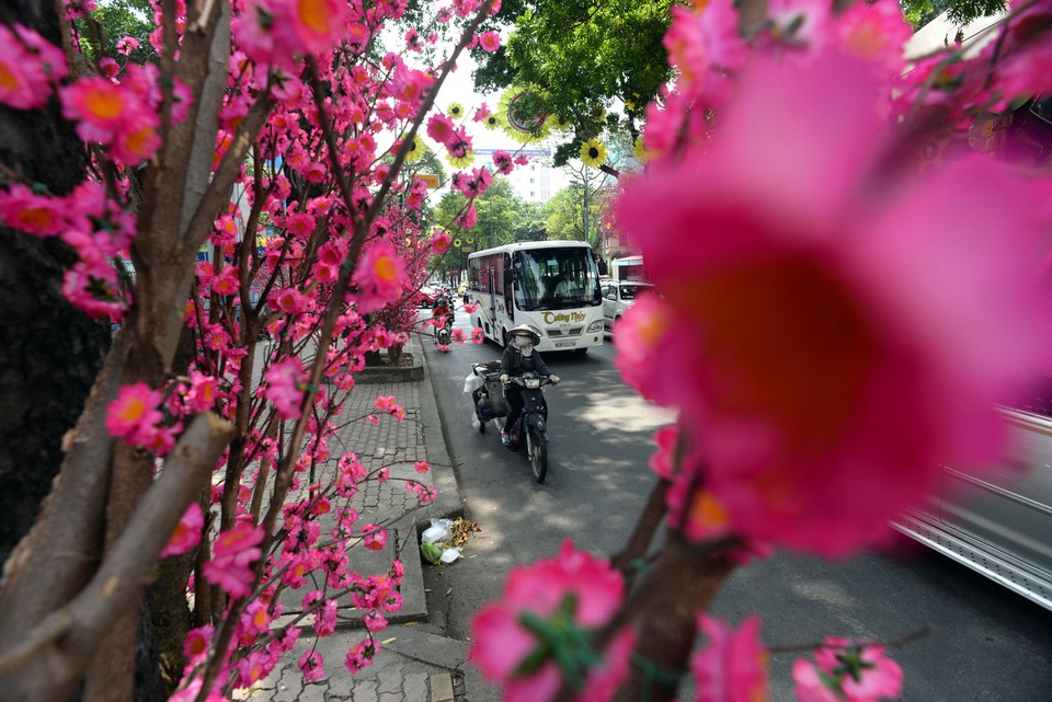 Không khí Tết xuất hiện nhiều trên các tuyến phố thông qua những cành mai, đào khoe sắc.