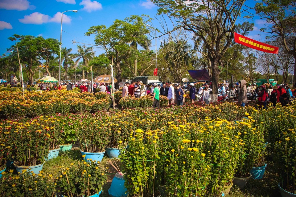 Cuối ngày 30 Tết, hoa, cây cảnh đồng loạt “xả hàng” - 17 Gian hàng cúc vẫn còn nhiều chậu chưa bán được.