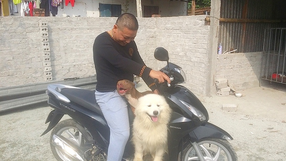 Những lúc rảnh rỗi các chú chó cũng rất tinh nghịch bám lấy chủ để leo lên xe “đòi” đi chơi.