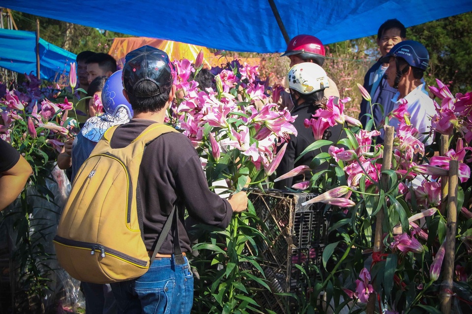 Cuối ngày 30 Tết, hoa, cây cảnh đồng loạt “xả hàng” - 19 Tuy nhiên, ly hồng lại đắt giá và được nhiều người đổ xô đến mua.