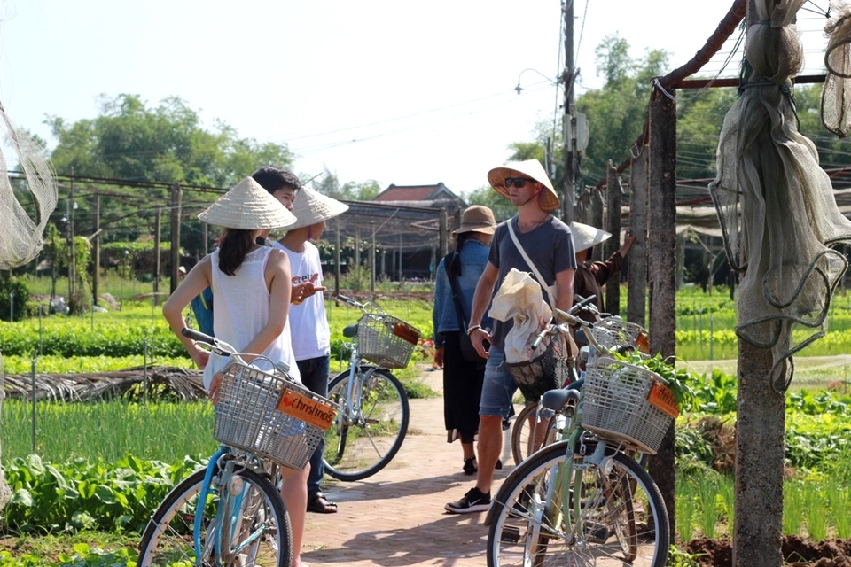 Hội An chật kín du khách trong dịp nghỉ lễ - 2 Khách nước ngoài tham quan vùng rau Trà Quế