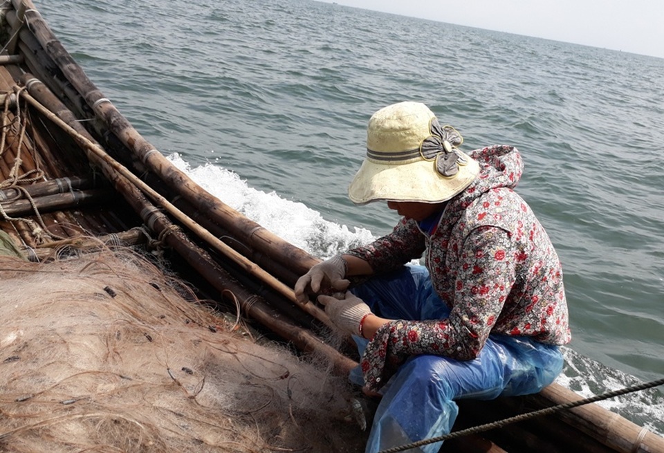 Gỡ lưới thu hoạch tôm tít ngay trên bè giữa biển khơi