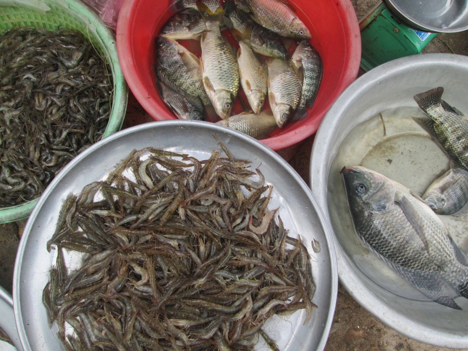 Độc đáo phiên chợ chỉ họp 3 ngày đầu năm, trên gò cao - 4 Tôm cá, rau củ quả được người dân đánh bắt, trồng trọt để đem ra bày bán