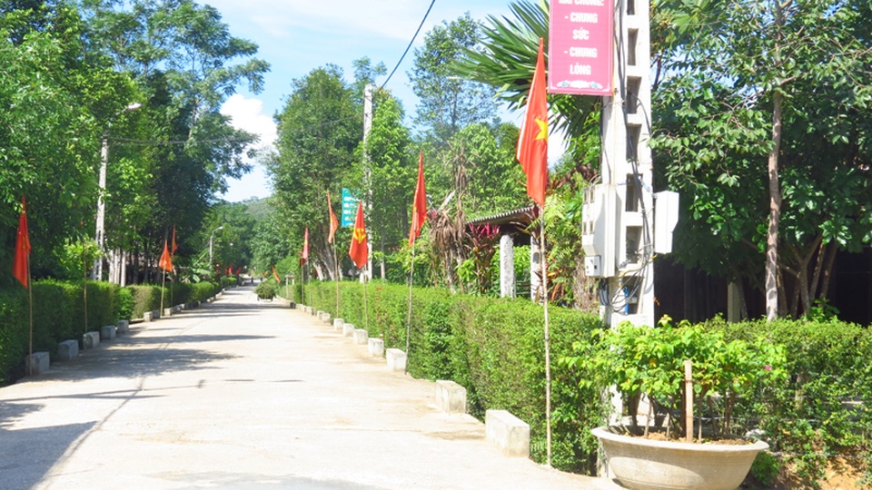 Giảm gần 700 thôn xóm, Hà Tĩnh tiết kiệm 84 tỷ đồng tiền thuế - 1 Đường nội thôn Khu dân cư kiểu mẫu cấp tỉnh thôn Nam Trà, xã Hương Trà, huyện Hương Khê
