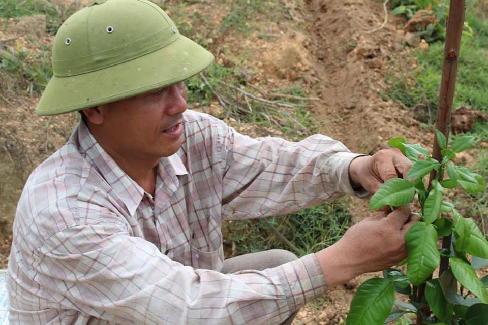Lão nông kiếm tiền tỷ mỗi năm trên mảnh đất cằn - 3 Ông Hùng luôn chú trọng khoa học kỹ thuật áp dụng vào cây ăn quả.