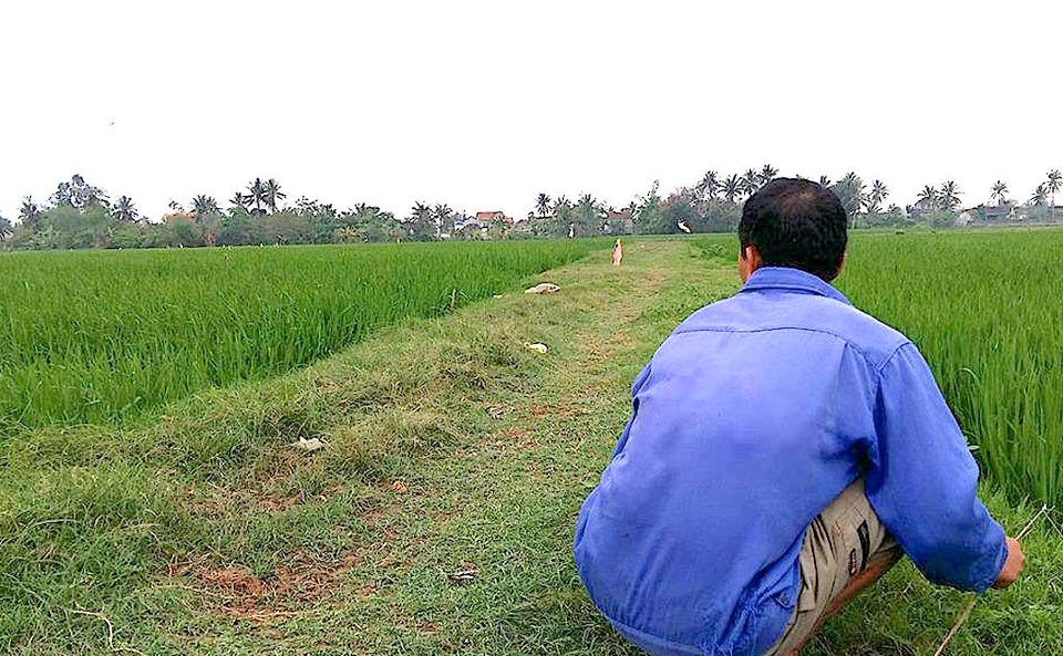 Nếu phát hiện ra một đàn chim chiện từ phía xa, hai tay cầm hai sợi cước của người thợ săn sẽ giật liên tục, mấy con chim chao liệng xung quanh chim chiện mồi rồi sà xuống. Chỉ chờ có vậy người thợ lao đi, chạy thật nhanh tiến về phía bãi săn. Trên bờ đất nhỏ, mấy chú chim tội nghiệp đang cố hết sức giãy giụa để thoát khỏi những chiếc hom dính đầy nhựa, nhưng càng giãy chúng lại càng bị dính nhiều hơn.