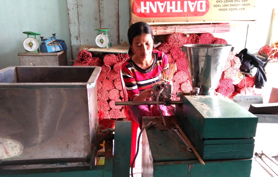 Hối hả làng rễ hương vào mùa - 6 Hối hả làng rễ hương vào mùa - 6