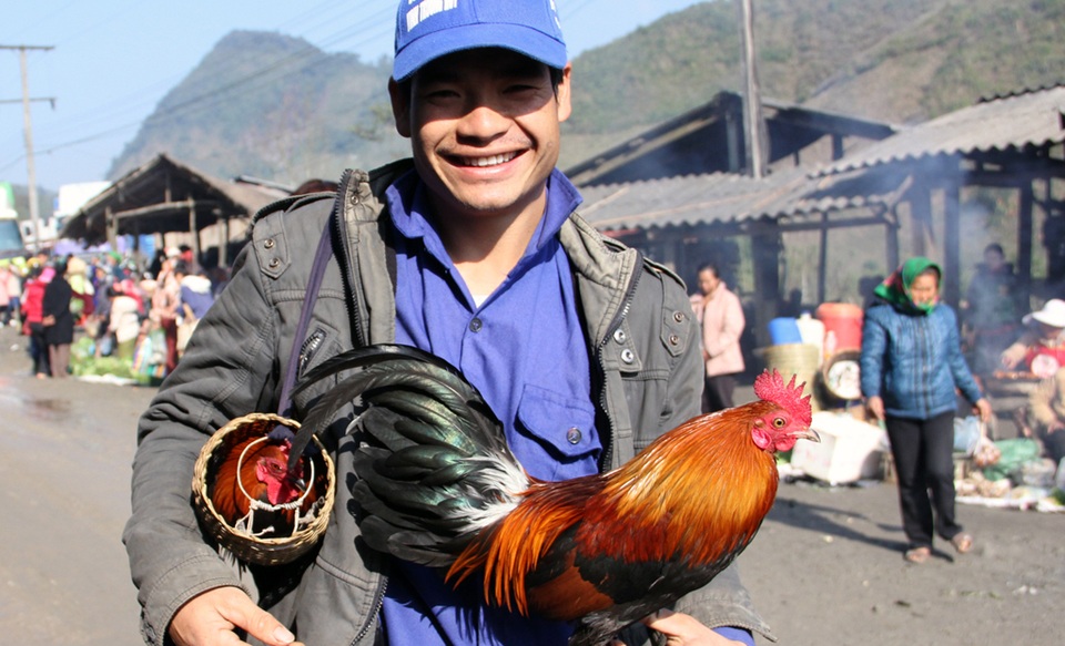 “Chen chân” ở chợ vùng biên trong kỳ nghỉ lễ - 5 Gà Mông nổi tiếng với bộ lông đẹp và tiếng gáy hay là mơ ước của những du khách miền xuôi được sở hữu về nuôi làm cảnh.