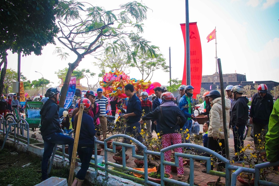 Cuối ngày 30 Tết, hoa, cây cảnh đồng loạt “xả hàng” - 14 Cuối ngày 30 Tết, hoa, cây cảnh đồng loạt “xả hàng” - 14