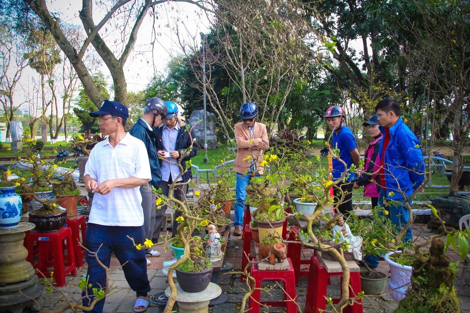 Cuối ngày 30 Tết, hoa, cây cảnh đồng loạt “xả hàng” - 15 Chiều 30 Tết, cây mai giảm giá bất thường và được rất nhiều người chen lấn để mua.