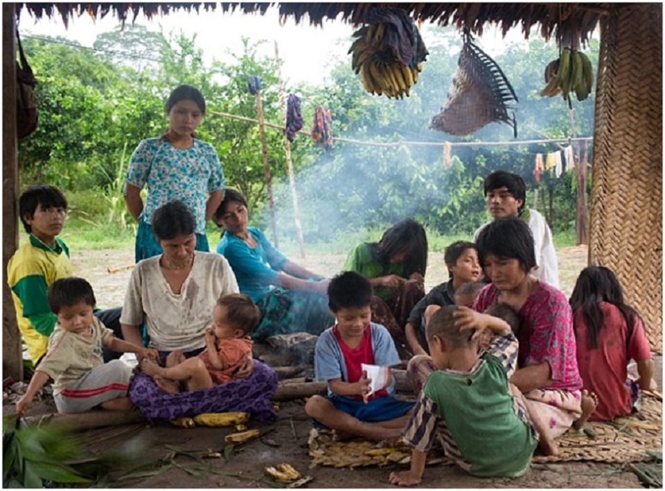 Muốn sống lâu, hãy đến... Amazon - 1
Những người Tsimane (ảnh chụp đang ngồi xung quanh một củi lửa), những người sống trong rừng Amazon ở Bolivia, có động mạch khỏe mạnh nhất.