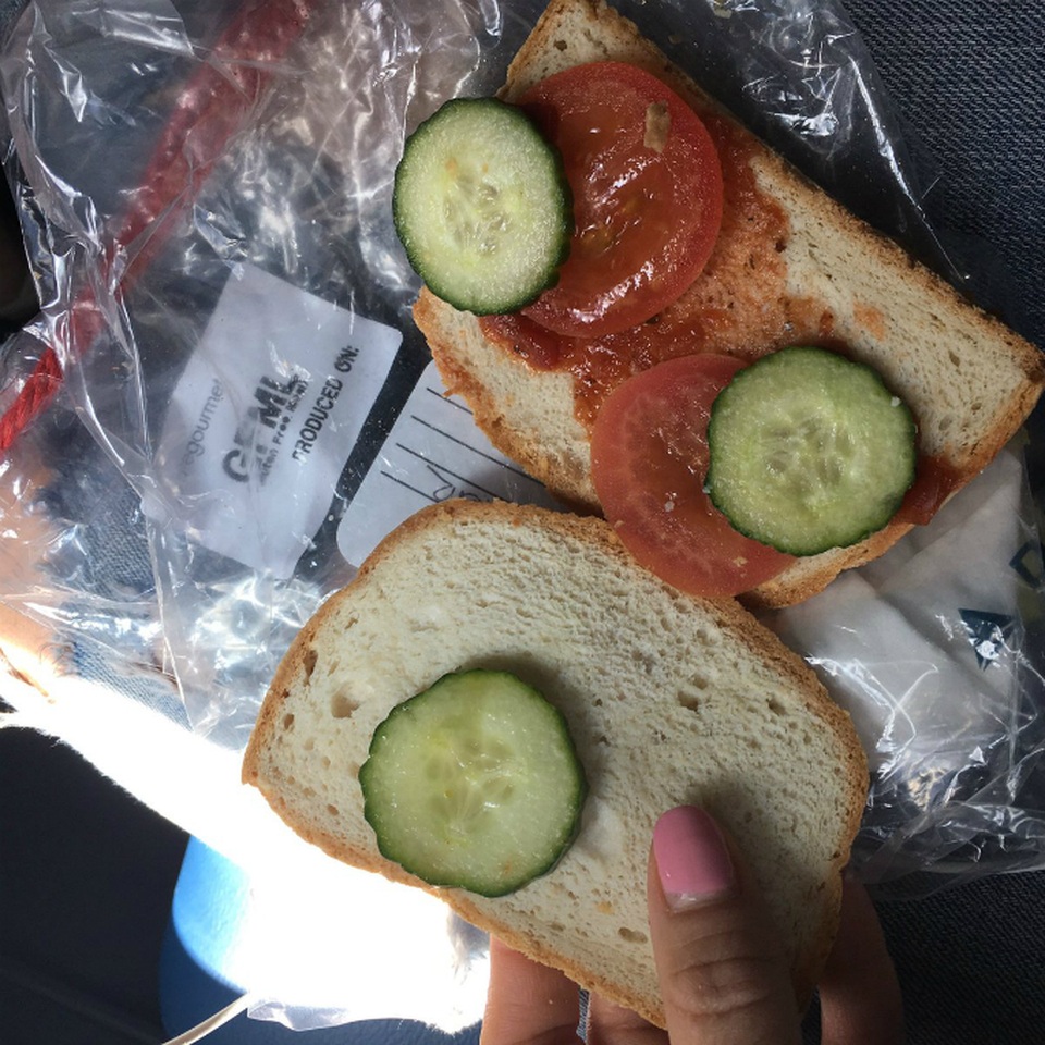 Bánh sandwich của hãng hàng không Delta Airlines với chặng bay từ Dublin tới JFK. Bánh gồm 2 lát cà chua, 3 miếng dưa chuột cùng một chút sốt cà chua ketchup.