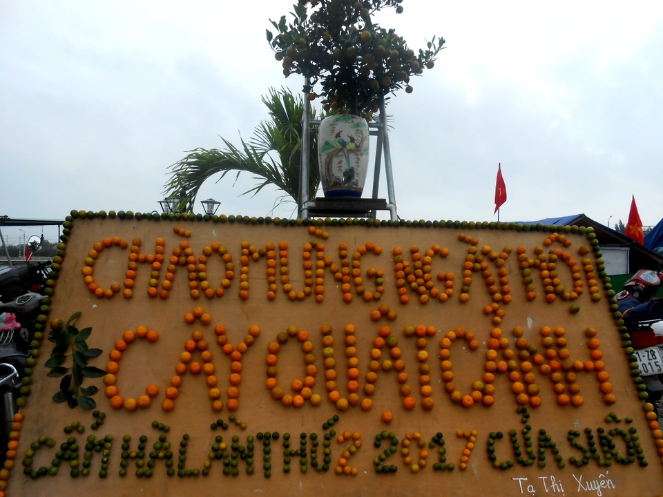 Hội An tưng bừng lễ hội cây quật cảnh - 1 Hội An tưng bừng lễ hội cây quật cảnh