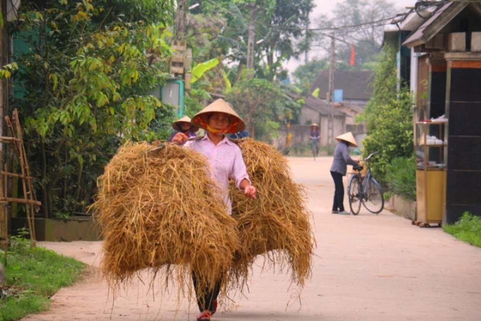 Độc đáo phiên chợ chỉ có… rơm - 2 Phiên chợ này độc đáo này xã Bình Lộc của huyện Lộc Hà. Bắt đầu từ tháng 2 đến đầu tháng 4, những người dân của xã Bình Lộc và các xã lân cận lại tìm về khu chợ này để mua bán rơm. Phiên chợ thường bắt đầu từ 5h sáng và kết thúc chừng từ 2 đến 3 giờ đồng hồ sau đó