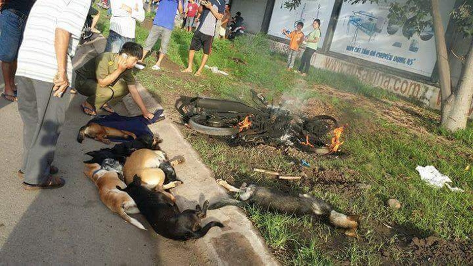 Người dân đánh bất tỉnh, thiêu rụi xe của 2 nghi can trộm chó - 1 Chiếc xe máy của 2 nghi can trộm chó bị đốt cháy rụi, bên cạnh đó là những xác chó nghi bị 2 người này dùng súng điện bắn chết
