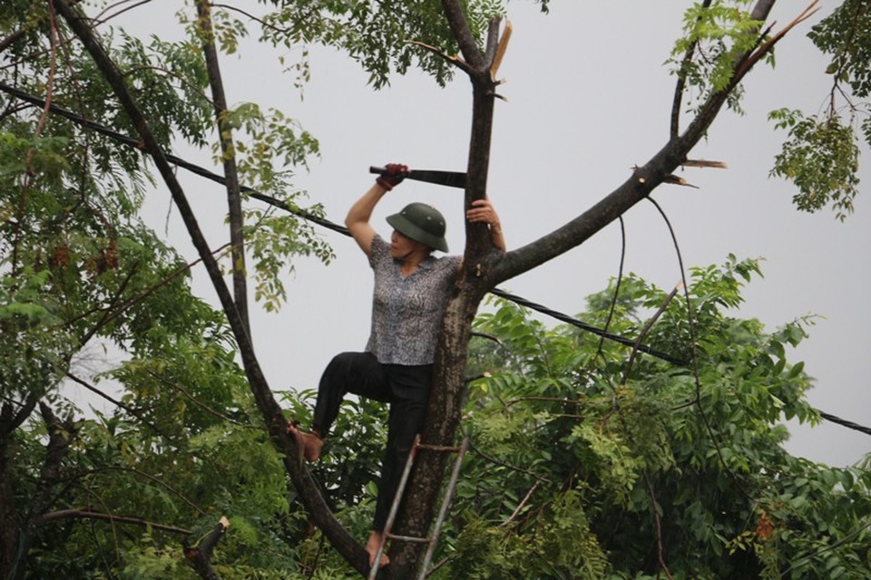 Miền Trung bắt đầu mưa, dân hối hả chạy "siêu bão" - 3
Người dân chặt tỉa cành cây đề phòng gãy đổ khi bão vào.