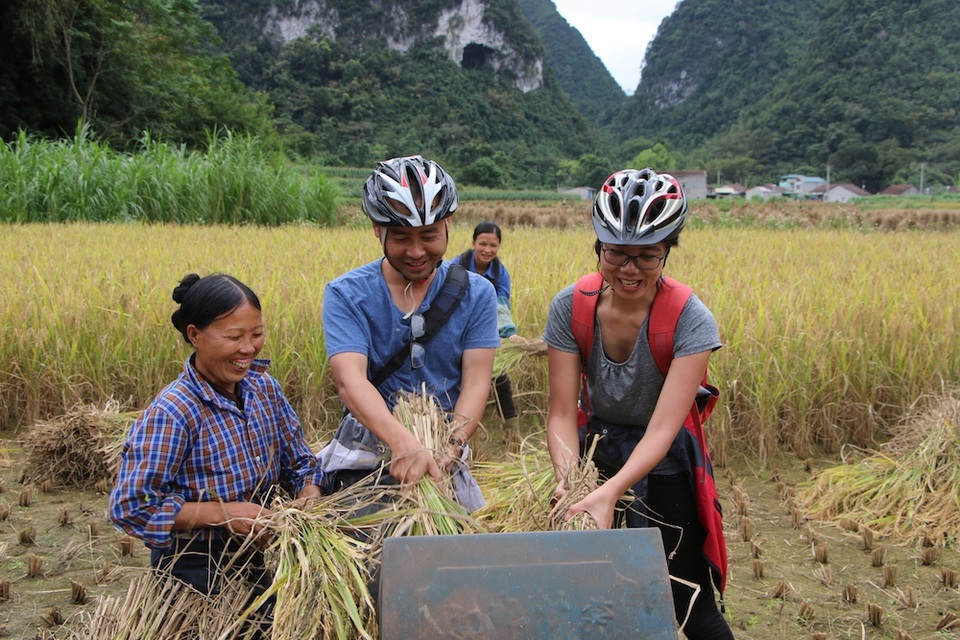 21 cua – đơ đạp xe du lịch khám phá vành đai biên giới Cao Bằng - 3 Du khách giúp người dân địa phương làm ruộng. Ảnh: CRED