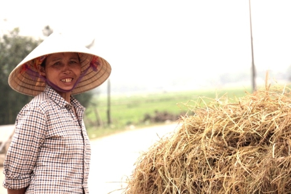 Độc đáo phiên chợ chỉ có… rơm - 6 Đối với những gia đình không làm lúa thì họ tìm đến khu chợ này để mua rơm về dự trữ làm thức ăn cho gia súc vào những ngày mùa đông hay những tháng khô hạn thiếu nguồn thức ăn.