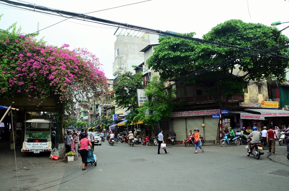 Người ta gọi loài hoa này là Hoa giấy có lẽ bởi cánh hoa mỏng manh, mềm mại như một tờ giấy, nhẹ nhàng rung động trước những cơn gió thoảng qua