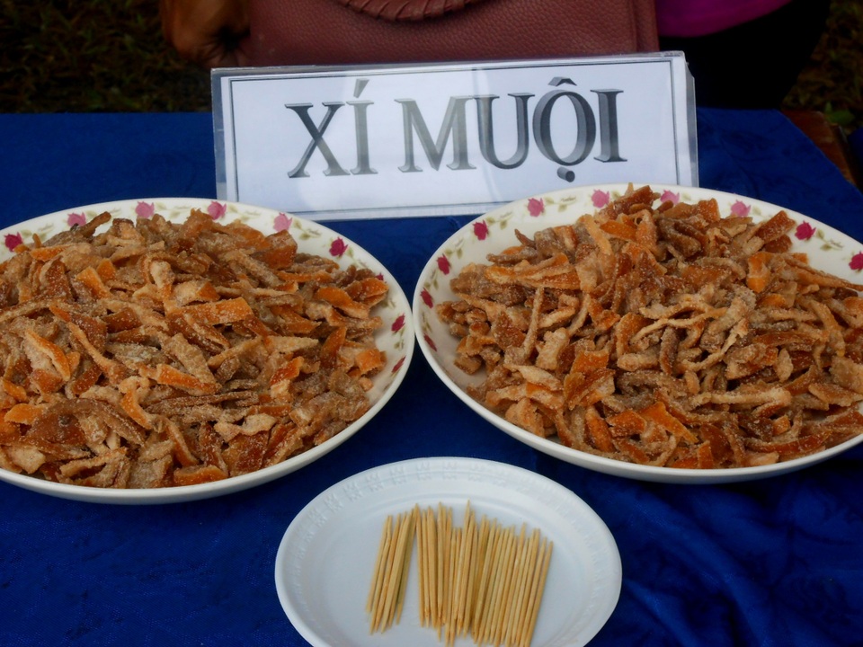 Hội An tưng bừng lễ hội cây quật cảnh - 11 Hội An tưng bừng lễ hội cây quật cảnh - 11