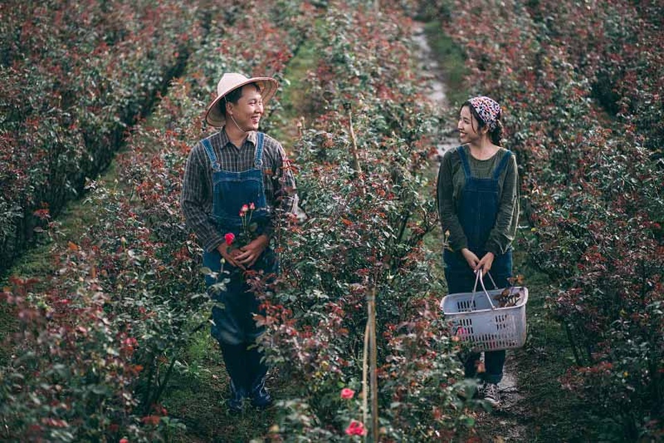 “Anh thương em”, lời bộc bạch chân thật xuất phát từ thẳm sâu trái tim của Quốc Phong, đáp lại anh Phương Dung trả lời rất tỉnh bơ “em tưởng anh có bạn gái rồi”.