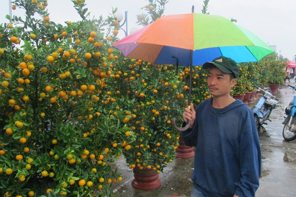 Đà Nẵng: Người bán hoa Tết “khóc ròng” vì trời mưa - 1 Anh Hữu buồn bã vì Tết đến nơi rồi mà quất vẫn còn nhiều, không có người mua