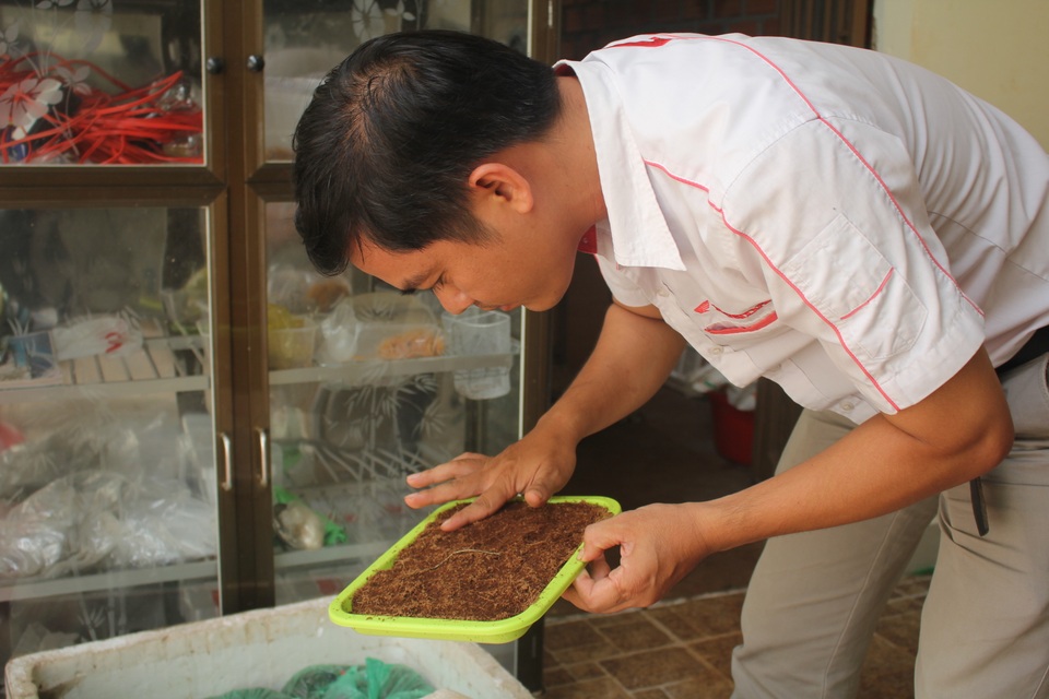 
Anh vừa nuôi dế, vừa cung cấp giống cho bà con trên địa bàn
