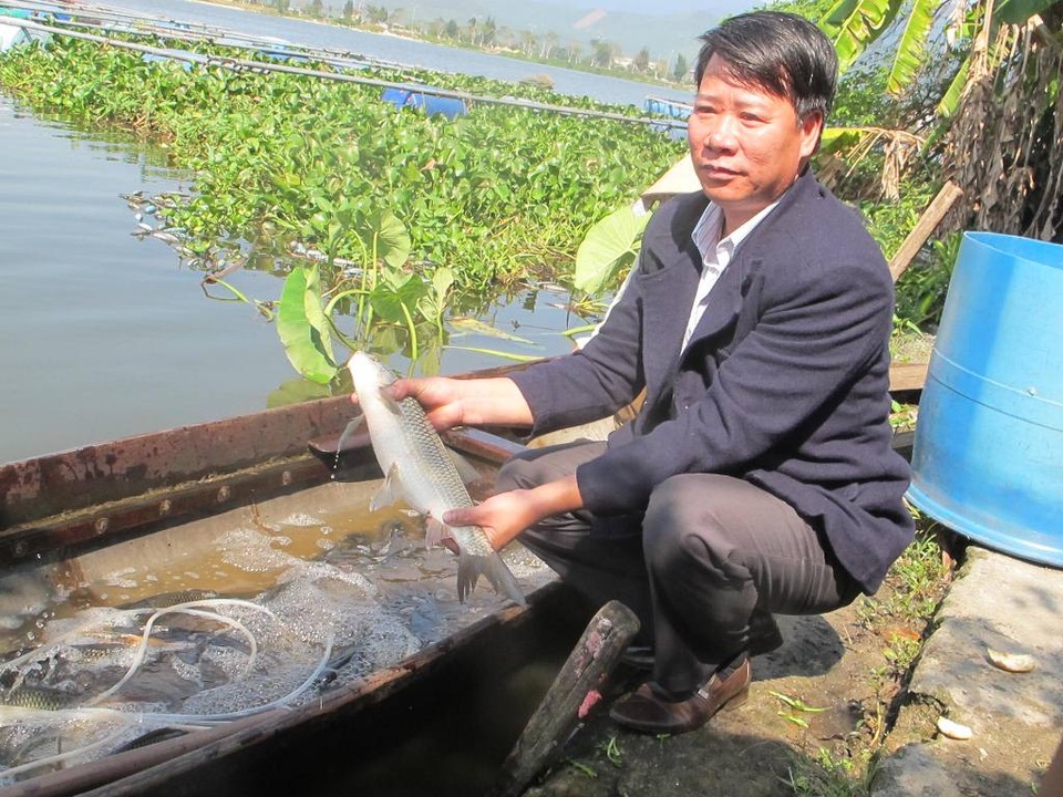 Nuôi cá nước ngọt, “bỏ túi” 300 triệu đồng mỗi năm - 2 Từ mô hình nuôi cá nước ngọt, mỗi năm anh Quân bỏ túi trên 300 triệu đồng