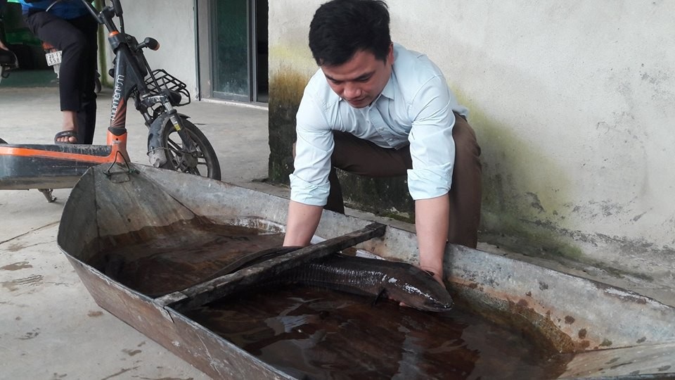 Hàng chục người dân góp tiền “chuộc” cá chình khủng thả về sông - 1
Con cá chình nặng 9kg được anh Lượng bắt được ở sông Cầu Soong