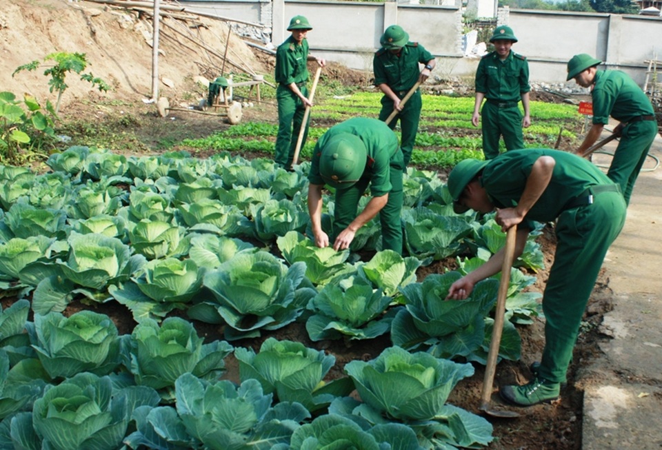 Mùa xuân nơi “cổng trời” xứ Thanh - 3 Các chiến sĩ tăng gia sản xuất chuẩn bị rau xanh đón Tết Đinh Dậu 2017