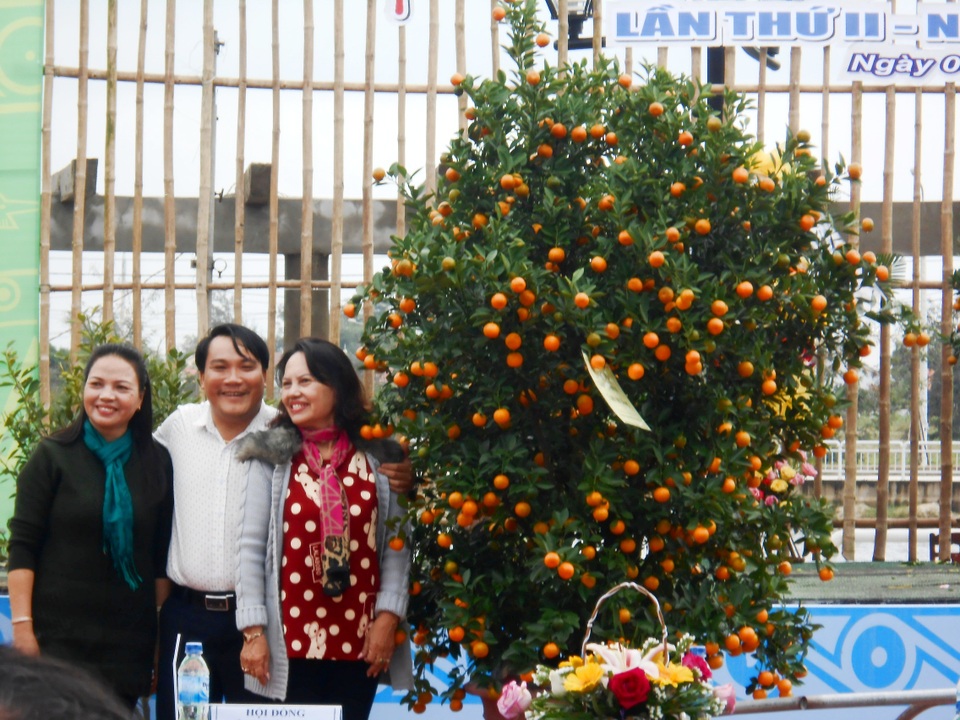 Hội An: Đấu giá quất Tết vì người nghèo - 2 Công ty Thiên Thanh với cây quật được đấu giá 8 triệu