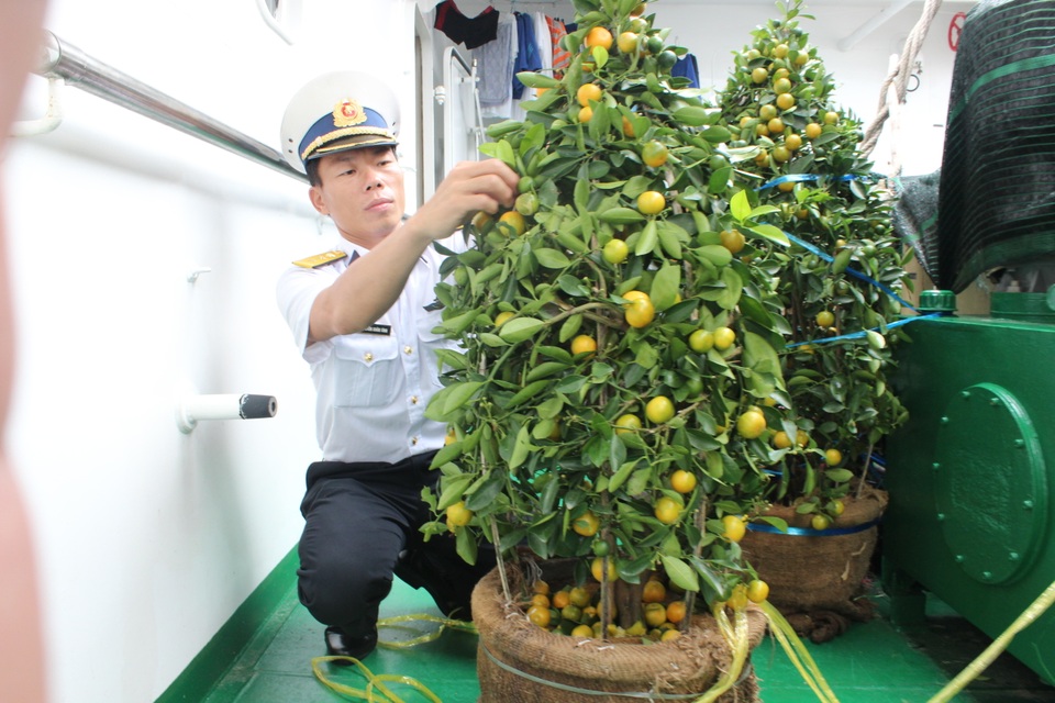 Những cánh én mang mùa xuân ra đảo - 1 Những cánh én mang mùa xuân ra đảo - 1