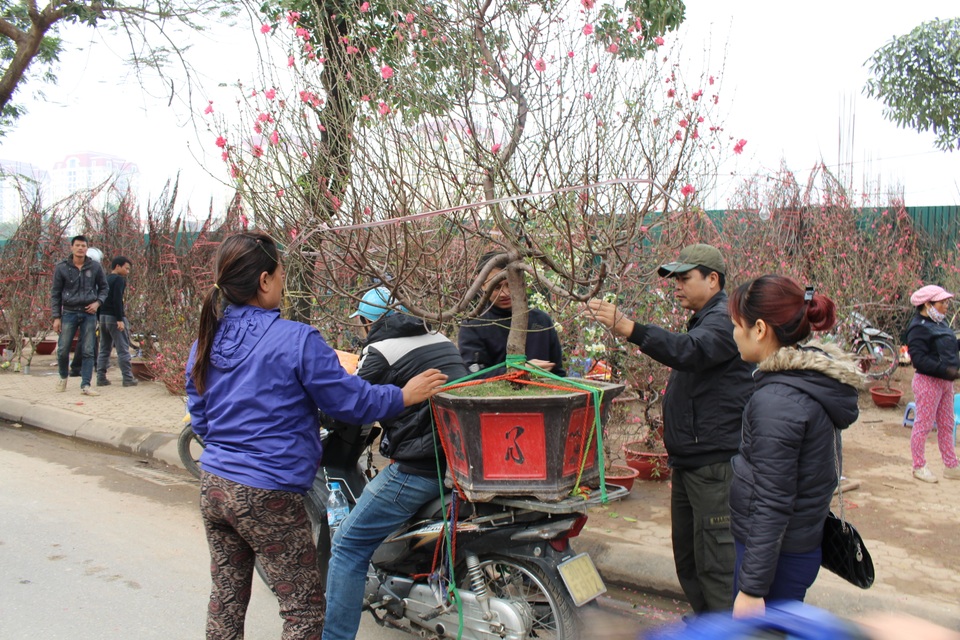 Người dân Thủ đô nườm nượp xuống phố "chở Tết" về nhà - 5 Người dân Thủ đô nườm nượp xuống phố "chở Tết" về nhà - 5