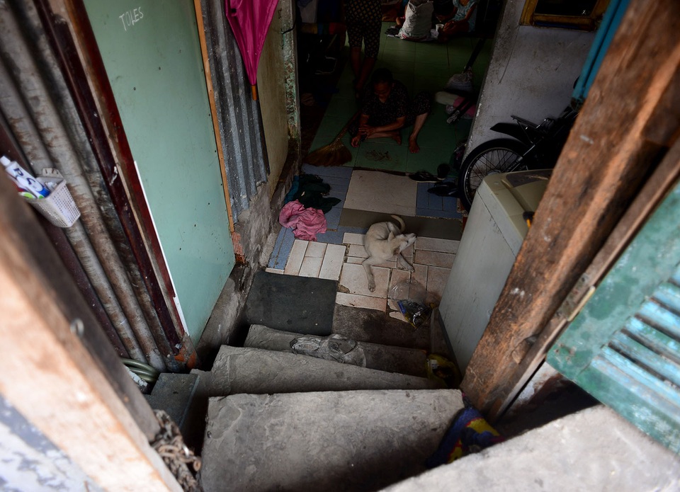 Để thuận tiện đi lại, gia đình chị Lê Thị Ngọc Thu (42 tuổi) phải xây bậc thang cho trẻ nhỏ và người già lên xuống.