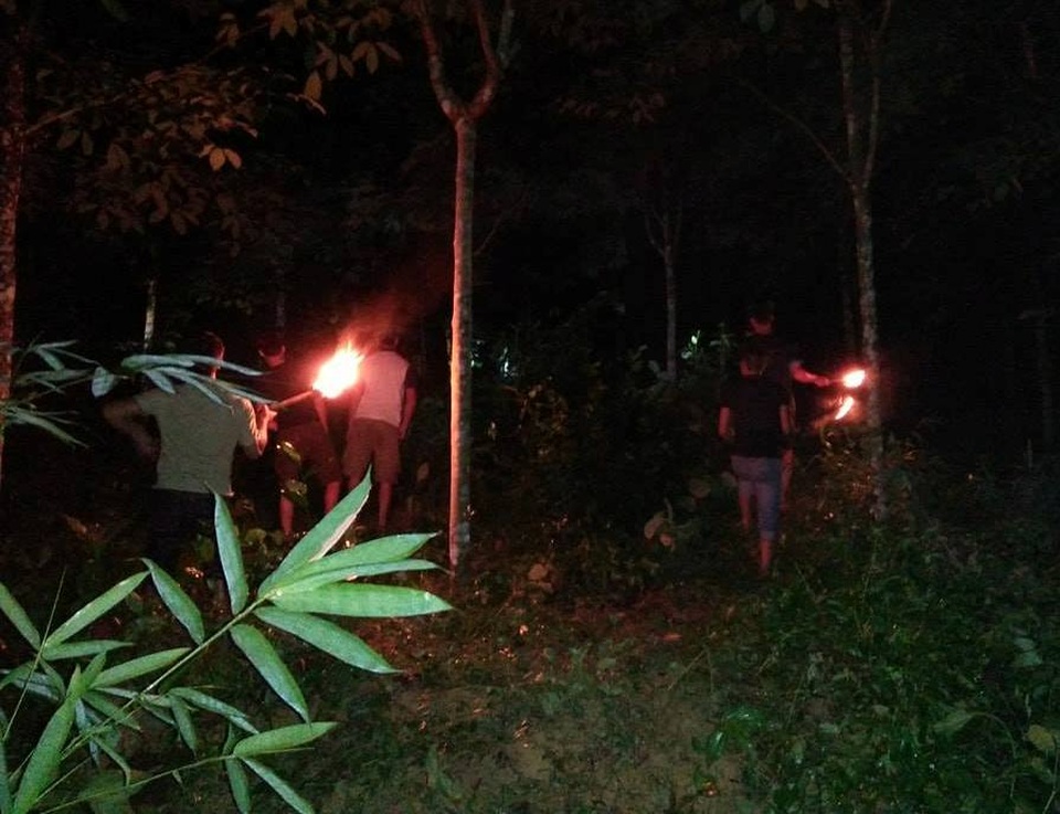 Dân đánh trống khua kẻng xua 6 con voi rừng phá hoại cây cối trong đêm - 3
Sau khi nhận được tin báo, chính quyền cùng bà con nhân dân đã đốt lửa, đánh trống... để xua đuổi voi về rừng