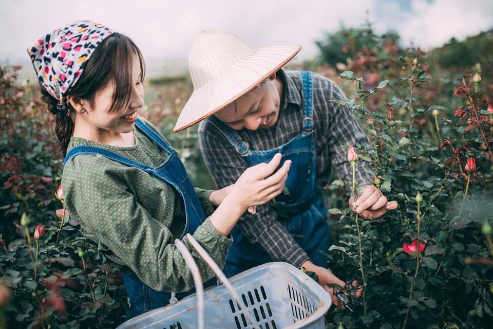 Kể từ ấy như có một điều gì đó thôi thúc mối quan hệ của họ cởi mở hơn. Cô gái Phương Dung cũng không tỏ ra xa cách với anh chàng trồng “cây si” Quốc Phong nữa.