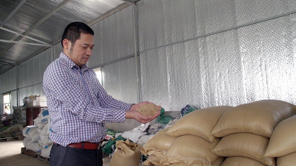 "Ông vua vịt trời" kiếm tiền tỷ mỗi năm - 6
Vừa áp dụng công nghệ hiện đại, anh Cường vừa chú trọng bảo vệ môi trường. Anh cho biết, sắp tới sẽ làm dây chuyền ấp trứng, vặt lông vịt, hun khói lên tới 20 tỷ đồng theo công nghệ Nhật Bản để có sản phẩm mới đưa ra thị trường.