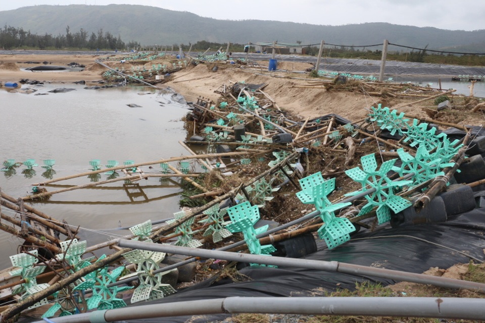 Khung cảnh hoang tàn tại khu vực nuôi tôm của Công ty TNHH Grobest Hà Tĩnh ở xã Kỳ Nam (thị xã Kỳ Anh)