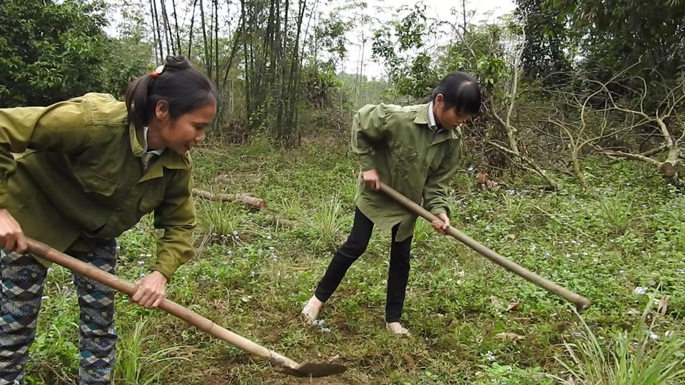 Đáng thương cô bé lớp 8 mỗi ngày vượt 18 km đường rừng để đến trường - 6
Những ngày nghỉ học em thường chăm sóc bố và ra vườn cùng mẹ