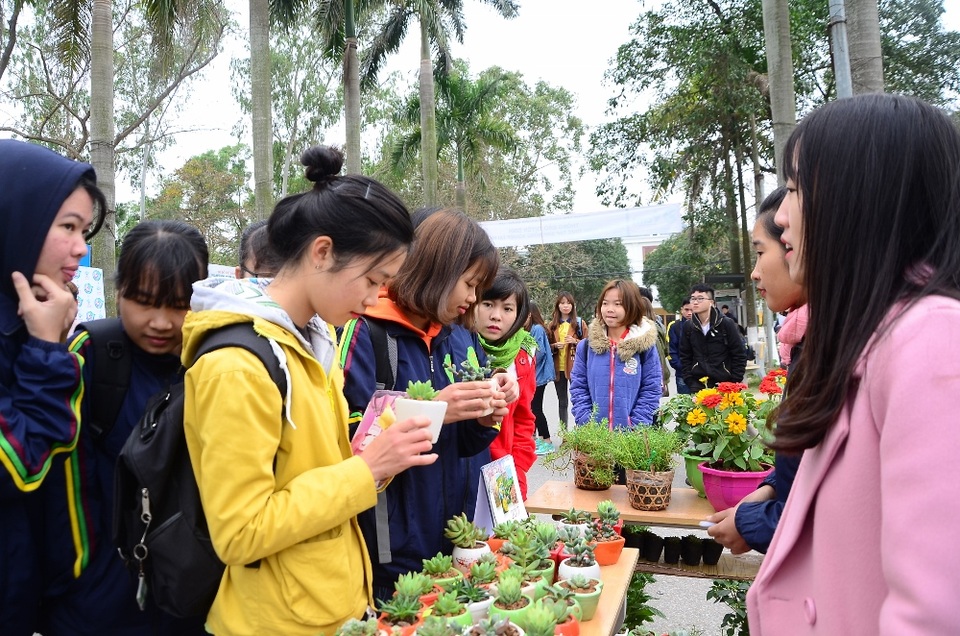 Sinh viên tổ chức đổi giấy vụn lấy cây cảnh - 5
Gian hàng hoa sen đá luôn được nhiều bạn trẻ tới xem và đổi cây nhất bởi loài cây này khá bền và đẹp, lại có giá cả rất phải chăng. Mỗi bạn đều lựa chọn kỹ càng để có thể sở hữu được cây ưng ý nhất.