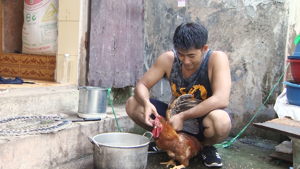 Bảo “ngậu” bỏ giang hồ về quê đánh cá, cấy lúa - 4 Ngoài đi cấy lúa, đánh cá, tham gia chương trình Bốn mùa yêu thương anh còn vào bếp làm thịt gà, nấu cơm...