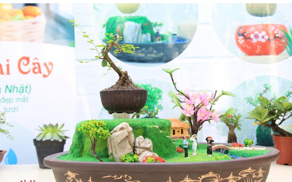 Bonsai “bay” tiền triệu gây “sốt” thị trường Tết - 6 Tất cả cây bonsai mini đều có thể làm bonsai “bay”. Tuy nhiên những loại cây như sâm núi, mây chấn thủy, sen đá, xương rồng, tắc... là những cây được khách hàng ưu chuộng nhất vì dễ chăm sóc