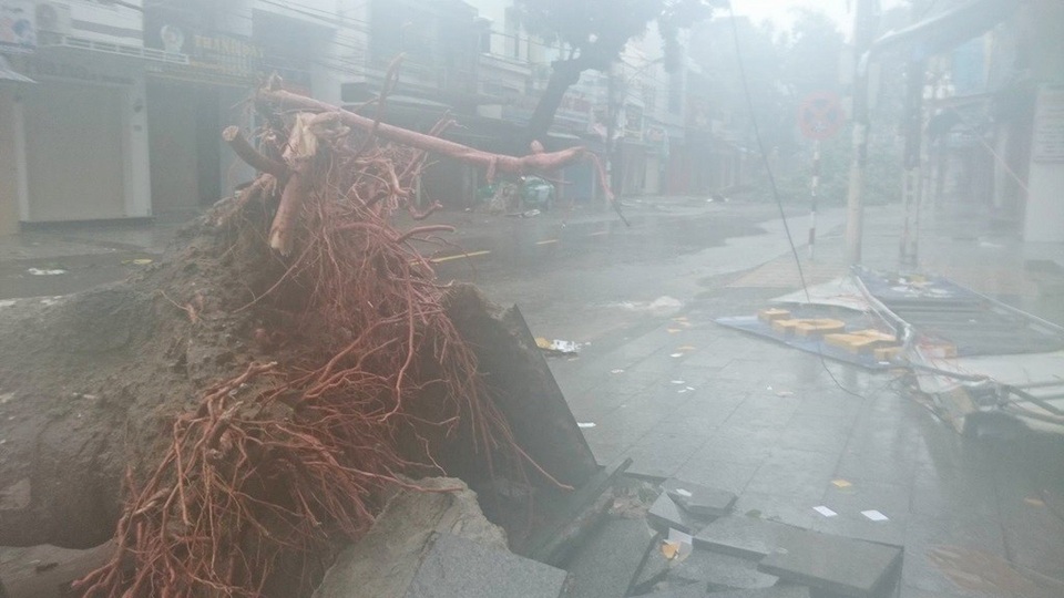 Nha Trang thiệt hại nặng nề nhất trong vòng 20 năm qua - 5 Nha Trang thiệt hại nặng nề nhất trong vòng 20 năm qua - 5