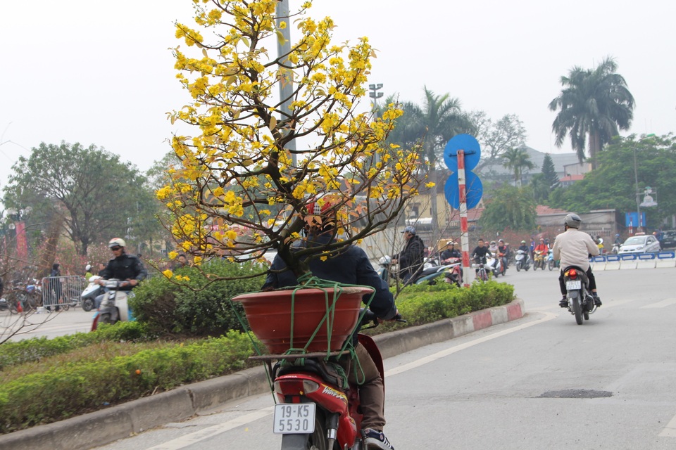 Người dân Thủ đô nườm nượp xuống phố "chở Tết" về nhà - 2 Người dân Thủ đô nườm nượp xuống phố "chở Tết" về nhà - 2
