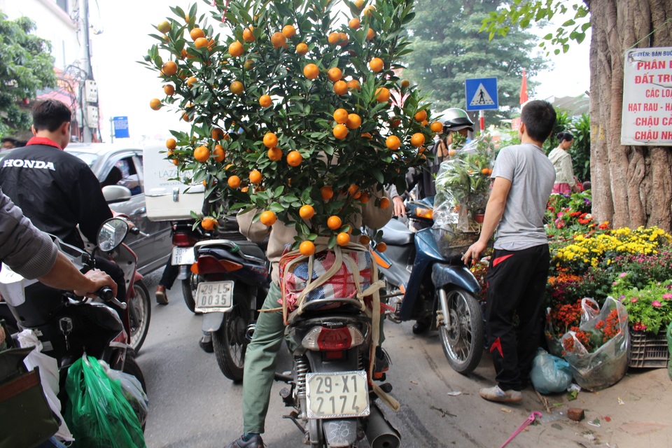 Người dân Thủ đô nườm nượp xuống phố "chở Tết" về nhà - 8 Người dân Thủ đô nườm nượp xuống phố "chở Tết" về nhà - 8