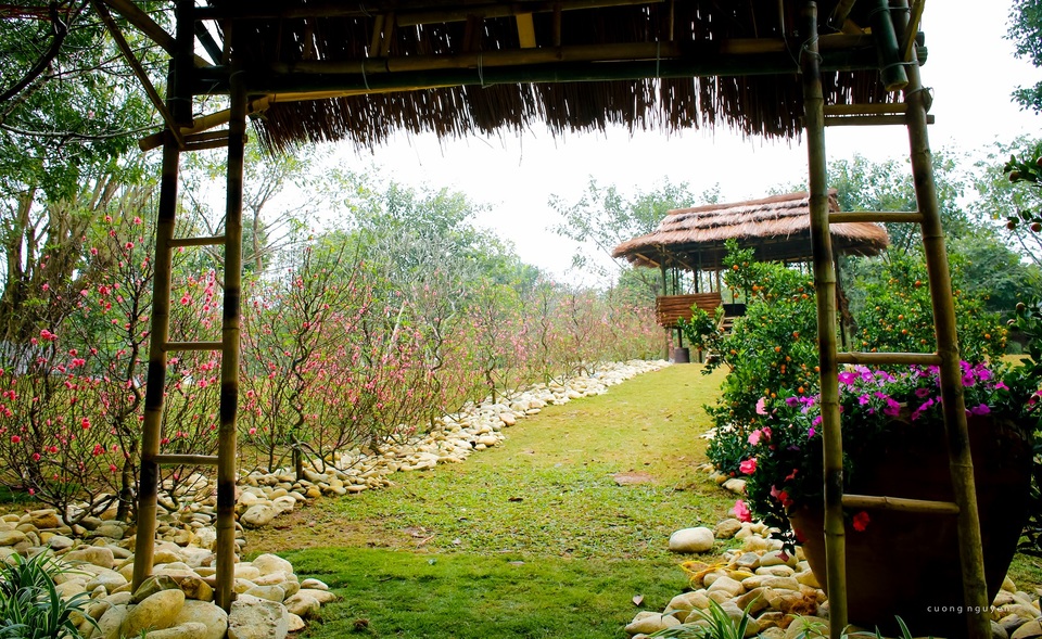 Lễ hội hoa xuân lớn nhất miền Bắc Tết Đinh Dậu - 9 Hội xuân Ecopark 2017 bắt đầu khai mạc vào sáng mùng 2 Tết, kéo dài đến hết mùng 5 Tết. Giá vé dành cho khách tham quan là 100.000 đồng với người lớn và 70.000 đồng với trẻ em trên 1m, miễn phí đối với trẻ nhỏ dưới 1m. Tuy nhiên, để phục vụ du khách chu đáo, Ecopark sẽ mở cửa bán vé từ ngày mùng 1 và kéo dài đến hết rằm tháng Giêng (từ 28/1 đến 11/2). Trong những ngày không biểu diễn nghệ thuật (trừ mùng 2 đến mùng 5), giá vé là 70.000 đồng với người lớn và 30.000 đồng với trẻ em trên 1m, miễn phí với trẻ nhỏ dưới 1m. Tham khảo lộ trình các tuyến xe buýt tại đây.