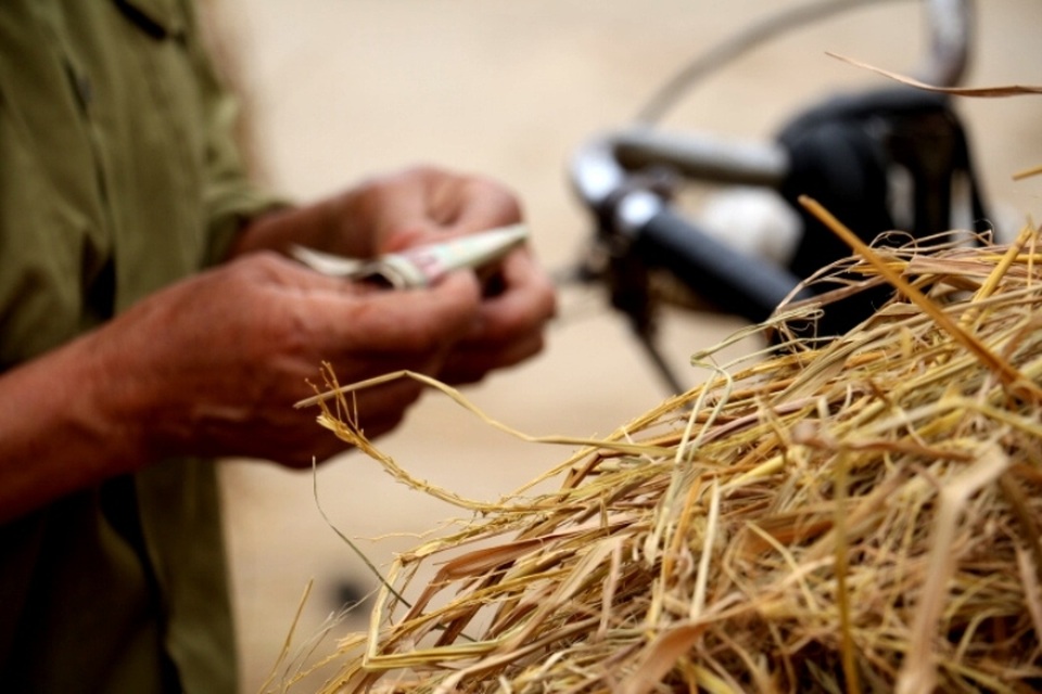 Độc đáo phiên chợ chỉ có… rơm - 9 Mỗi gánh rơm được bán với giá từ 40.000 - 60.000 đồng. Có gia đình một mùa thu hoạch rơm cũng được vài ba triệu đồng. Đây là khoản thu nhập thêm từ nghề trồng lúa