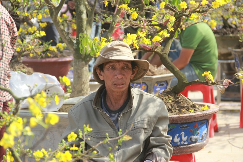 Cuối ngày 30 Tết, hoa, cây cảnh đồng loạt “xả hàng” - 37 Nét mặt lo âu của ông chủ vườn mai khi gần đến giao thừa nhưng chưa bán được hết cây